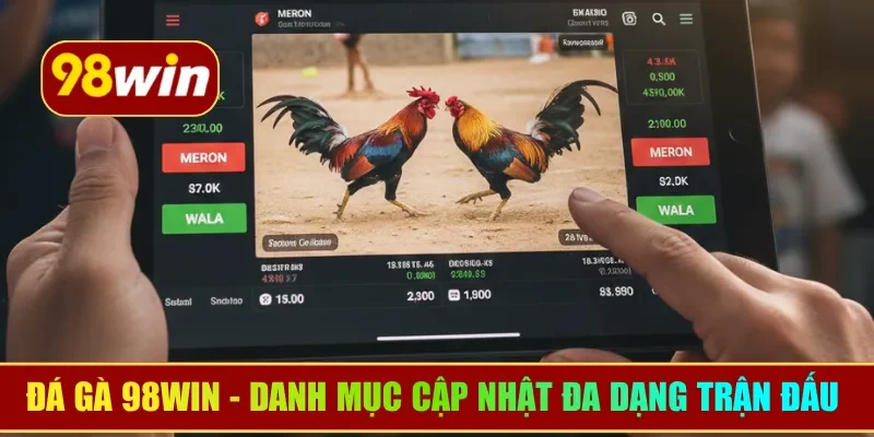 Đá gà 98WIN - Danh mục cập nhật đa dạng trận đấu hấp dẫn