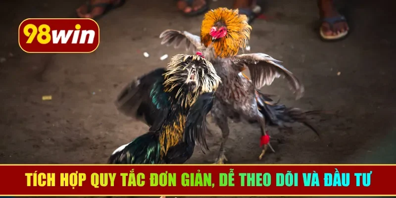 Tích hợp quy tắc đơn giản, dễ theo dõi và đầu tư